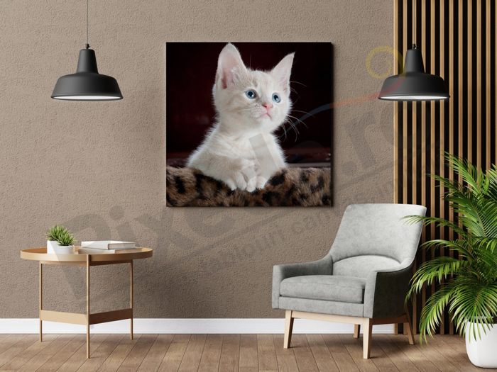 Imagine Tablou canvas animale PX 22006 felina alba