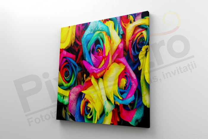 Imagine Tablou canvas flori PX 22027 trandafiri colorati