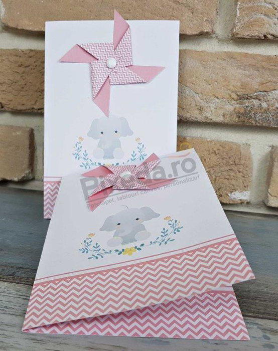 Imagine Invitatii de botez 8028 morișcă roz și elefănțel