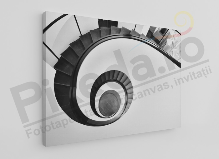 Imagine Tablou canvas abstract PX 20001 spirala alb si negru