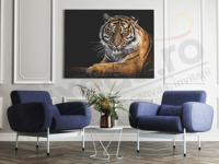 Imagine pentru categorie Tablouri canvas animale