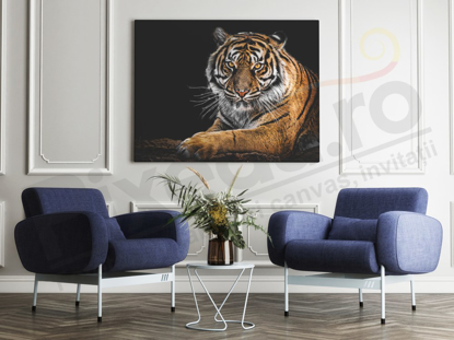 Imagine Tablou canvas animale PX 20010 tigru