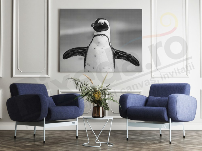 Imagine Tablou canvas animale PX 20011 pinguin