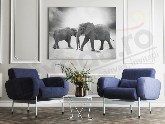 Imagine Tablou canvas animale PX 20013 elefanti alb negru