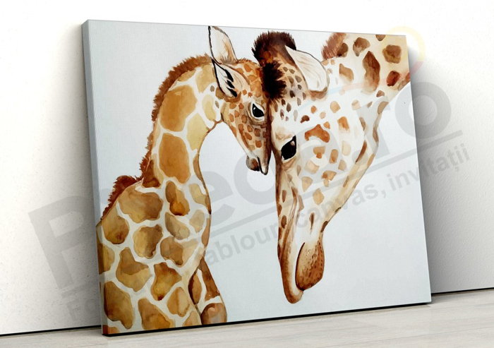 Imagine Tablou canvas camera copiilor PX 20028 girafe