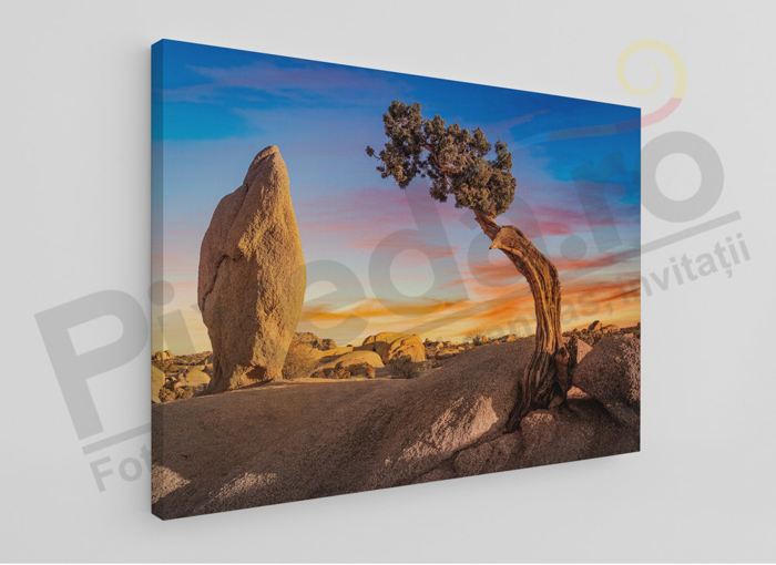 Imagine Tablou canvas peisaj PX 20038 desert