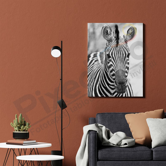 Imagine Tablou canvas animale PX 21021 zebra