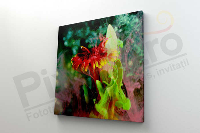 Imagine Tablou canvas abstract PX 22001 floare misterioasa