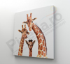 Imagine Tablou canvas camera copii PX 22018 girafe amuzante