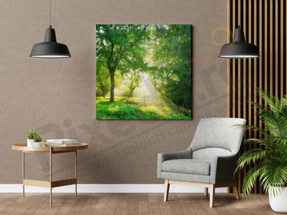 Imagine Tablou canvas peisaj PX 22028 lumina intre copaci