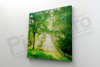 Imagine Tablou canvas peisaj PX 22028 lumina intre copaci