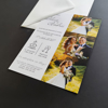 Imagine Invitatie de nunta PX 15015